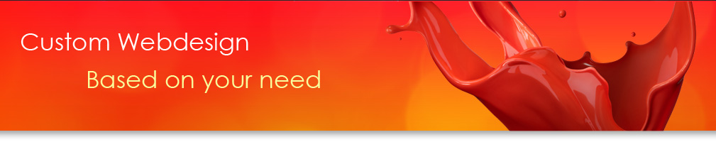 custom website design services Gujarat