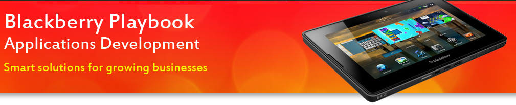 PlayBook Application Development Ahemdabad